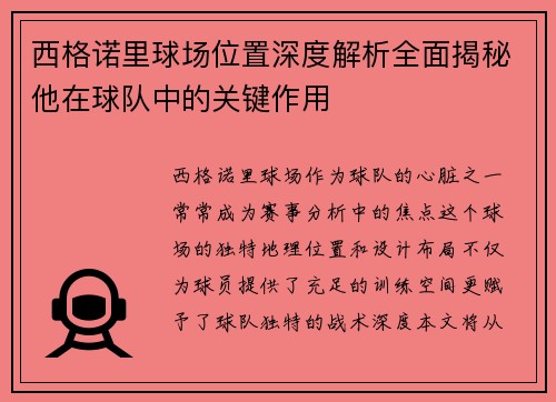 西格诺里球场位置深度解析全面揭秘他在球队中的关键作用 西格诺里球场位置深度解析全面揭秘他在球队中的关键作用